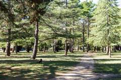 Ferienwohnung - Sophisticated Inner-City 2-Bed with Outdoor Dining - Ferienunterkunft in Braddon (4 Personen)