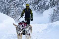 Ferienwohnung - Résidence La Piloselle - Ferienunterkunft in Vars (6 Personen)