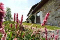 Ferienhaus - Vue Sur La Vallée - Ferienunterkunft in Somme Leuze (12 Personen)