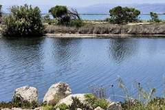 Ferienwohnung - Résidence Hawai 1 - Ferienunterkunft in Leucate (4 Personen)