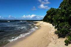 Ferienwohnung - Appartement Seaside - Ferienunterkunft in Le Moule (3 Personen)