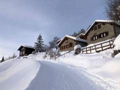 Ferienhaus - Ferienhaus Tiny House facing the Alps - Ski in and out