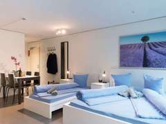 Ferienwohnung - Ferienwohnung LU Nadelwehr III - Allmend HITrental Apartment