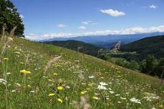 Ferienhaus - Ferienunterkunft in St.Urban (4 Personen)