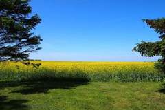 Ferienhaus - Ferienunterkunft in Gingst (4 Personen)