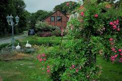 Ferienhaus - Ferienunterkunft in Butjadingen (5 Personen)