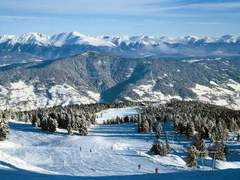 Ferienhaus - Ferienhaus # 46 mit 2 Schlafzimmern