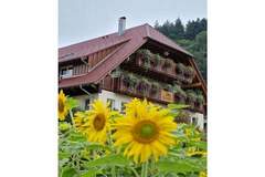 Bauernhof - Ferienunterkunft in Oppenau (6 Personen)