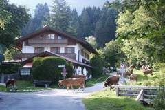 Ferienhaus - Ferienunterkunft in Garmisch-Partenkirchen (8 Personen)