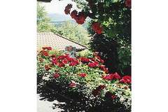 Ferienhaus - Ferienunterkunft in Prackenbach (6 Personen)