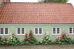 Ferienhaus - Ferienunterkunft in Ringkøbing (6 Personen)