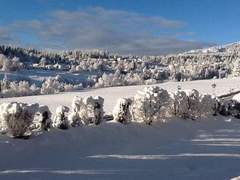 Ferienwohnung - Ferienwohnung 