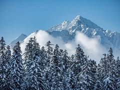 Ferienwohnung - Ferienwohnung Putzprinz Gujan Ferienwohnung, Haus Surmir B / 16, (Flims Waldhaus). 2.5-Zimmer