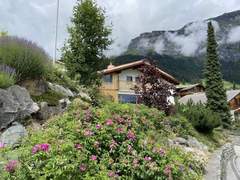 Ferienhaus - Ferienhaus El Cantun, (Flims Dorf). 6-Zimmer Einfamilienhaus