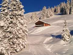 Ferienwohnung - Ferienwohnung Maiensäss La Casa Cathomen, Brigels, (Breil/Brigels).