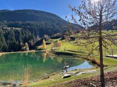 Ferienwohnung - Ferienwohnung Casa Tresch Sedrun, (Tavetsch).