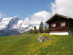 Ferienwohnung - Ferienwohnung Maiensäss Casaritsch, (Urmein).
