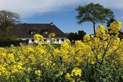 Ferienhaus - Ferienunterkunft in Kappeln (4 Personen)