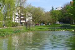 Ferienhaus - Ferienunterkunft in Bad Bellingen (4 Personen)
