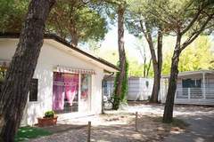 Ferienhaus, Wohnmobil - Cesenatico Camping Village - MOBILE HOME VEGA CESENATICO - Ferienunterkunft in Cesenatico (4 Personen)
