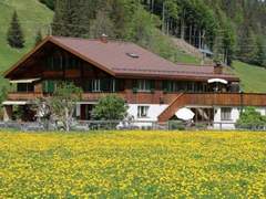 Ferienwohnung - Ferienwohnung Baumerhus 2-Bettwohnung