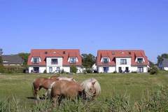 Ferienhaus - Ferienunterkunft in Vitte (2 Personen)