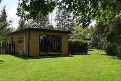 Ferienhaus - Wellnesslodge Scholekster 4p - Ferienunterkunft in Dalerveen (4 Personen)