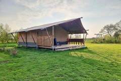 Luxe glamping met badkamer 1 - Ferienunterkunft in De Veenhoop (4 Personen)