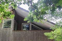 Ferienhaus - Huis in de Bossen - Ferienunterkunft in Een (6 Personen)