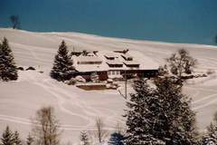 Ferienhaus - Ferienunterkunft in Todtnau (5 Personen)