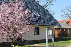 Ferienhaus - Ferienunterkunft in Prerow (5 Personen)