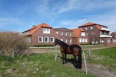 Ferienhaus - Ferienunterkunft in Juist (2 Personen)