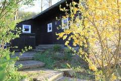 Ferienhaus - Ferienunterkunft in Monschau (7 Personen)