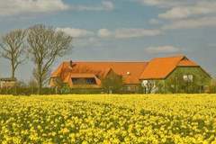 Ferienhaus - Ferienunterkunft in Nordstrand (3 Personen)