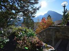 Ferienwohnung - Ferienwohnung Appartement/Fewo, Dusche& Bad, WC, 2-Bettwohnung