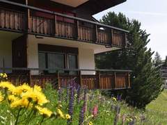 Ferienwohnung - Ferienwohnung 4-Bettwohnung
