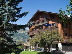 Ferienwohnung - Ferienwohnung Soldanella, (Grächen),