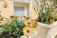 Ferienhaus - Ferienunterkunft in Limone  (5 Personen)