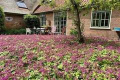 Ferienhaus - Ferienunterkunft in Groet (5 Personen)