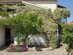 Ferienwohnung - Ferienwohnung Apartment Sasa A3 / HR-11069-02