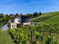 Ferienhaus - Ferienhaus Guesthouse Dellavalle