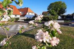 Ferienhaus - Ferienunterkunft in Hohwacht (2 Personen)