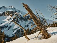 Ferienwohnung - Ferienwohnung Hütte Ova Spin il Cuvel, (Zernez)