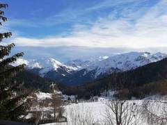 Ferienwohnung - Ferienwohnung Chasa Minschuns