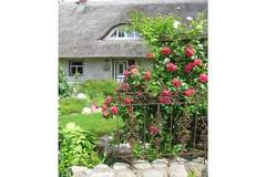 Ferienhaus - Ferienunterkunft in Pepelow (4 Personen)