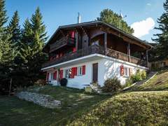Ferienwohnung - Ferienwohnung Chalet Sunnuterrasse Appartement/Fewo, Dusche, WC 4-Zimmerwohnung Dusche, WC