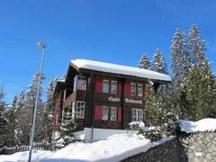 Ferienwohnung - Ferienwohnung Chalet Waldesruh (3 ZWhg.) 4-Bettwohnung