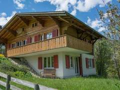Ferienwohnung - Ferienwohnung Chalet Falki Appartement/Fewo, Bad, WC, 3 Schlafräume 3.5-Zimmerwohnung + Studio