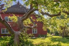 Ferienhaus - Ferienunterkunft in Zingst (2 Personen)