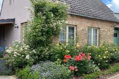 Ferienhaus - Ferienunterkunft in Buchholz (5 Personen)